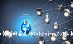 如何找回丢失的Tokenim 2.0私钥？