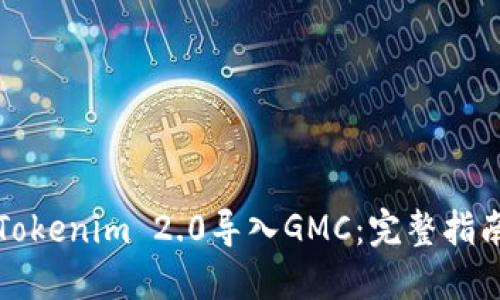 如何将Tokenim 2.0导入GMC：完整指南与技巧