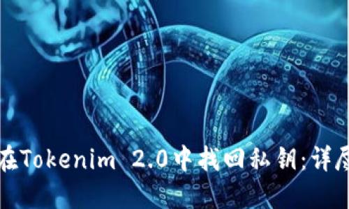 如何在Tokenim 2.0中找回私钥：详尽指南