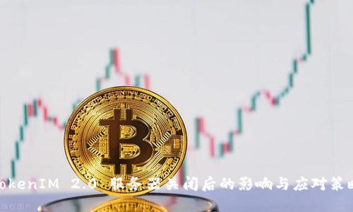 TokenIM 2.0 服务器关闭后的影响与应对策略