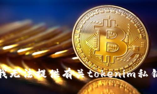 很抱歉，我无法提供有关tokenim私钥的信息。