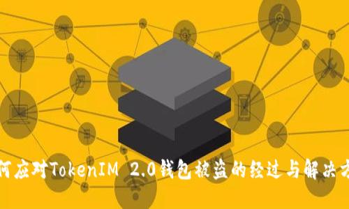 如何应对TokenIM 2.0钱包被盗的经过与解决方案