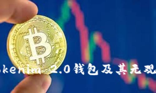 详细解析Tokenim 2.0钱包及其无观察钱包功能