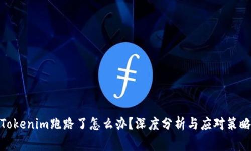 Tokenim跑路了怎么办？深度分析与应对策略