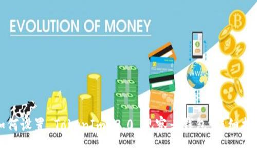 如何设置 TokenIm 2.0 观察者钱包：详细指南