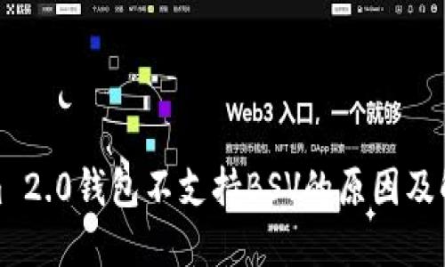 Tokenim 2.0钱包不支持BSV的原因及解决方案