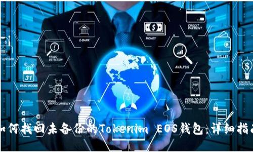 如何找回未备份的Tokenim EOS钱包：详细指南