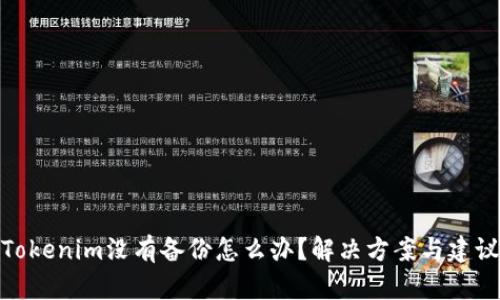 Tokenim没有备份怎么办？解决方案与建议