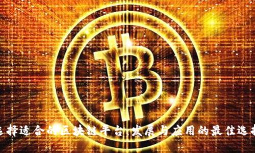 选择适合的区块链平台：发展与应用的最佳选择