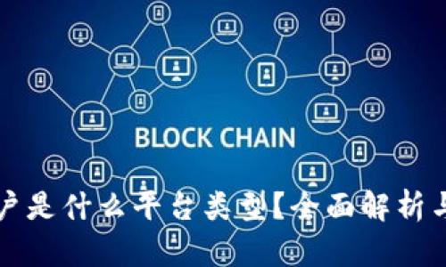 区块链商户是什么平台类型?全面解析与应用前景