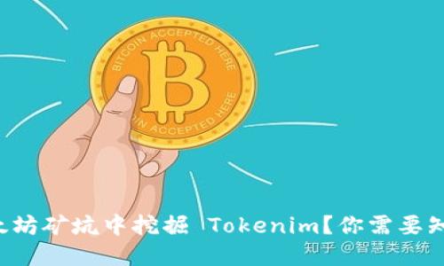 想在以太坊矿坑中挖掘 Tokenim？你需要知道这些！