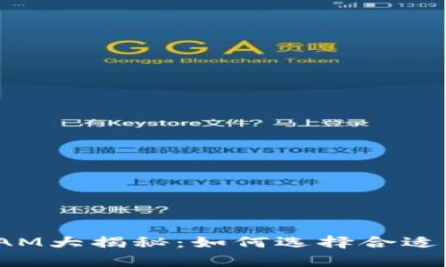 TokenIM 2.0 RAM大揭秘：如何选择合适的内存提升性能？