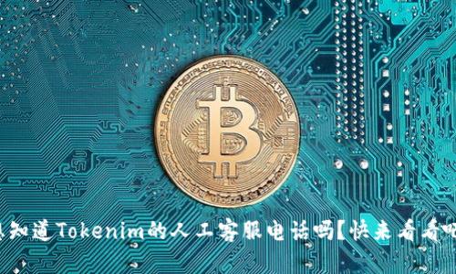 想知道Tokenim的人工客服电话吗？快来看看吧！