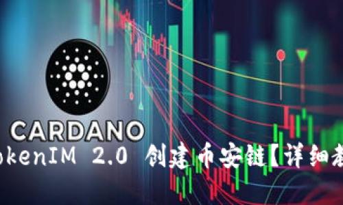 如何用TokenIM 2.0 创建币安链？详细教程来啦！