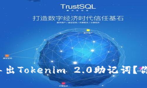 如何轻松导出Tokenim 2.0助记词？你真的会吗？