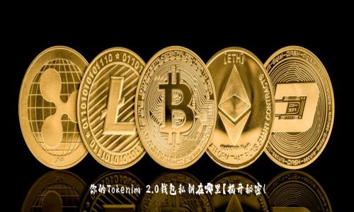 你的Tokenim 2.0钱包私钥在哪里？揭开秘密！