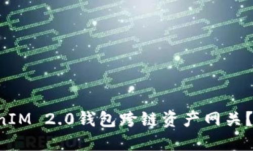 如何使用TokenIM 2.0钱包跨链资产网关？让我们聊聊吧！