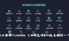 国内能用Tokenim 2.0钱包吗？一起来探讨一下！