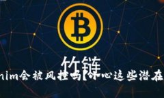 Tokenim会被风控吗？小心这些潜在风险！