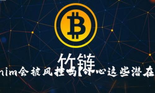 Tokenim会被风控吗？小心这些潜在风险！