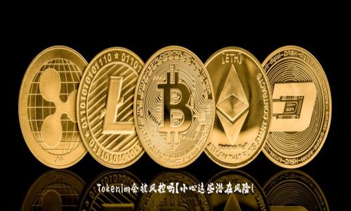 Tokenim会被风控吗？小心这些潜在风险！