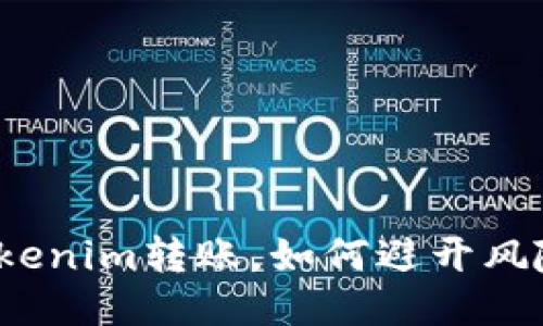 tokenim转账，如何避开风险？