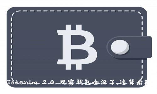 怎么回事？Tokenim 2.0 观察钱包全没了，这背后隐藏着什么？