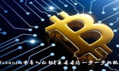 如何在Tokenim中导入私钥？来看看这一步一步的视