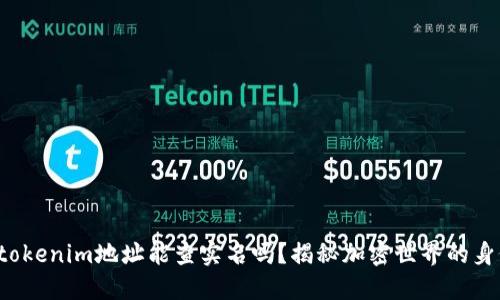 你知道tokenim地址能查实名吗？揭秘加密世界的身份验证！