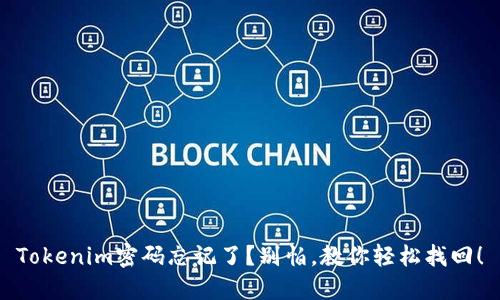 Tokenim密码忘记了？别怕，教你轻松找回！