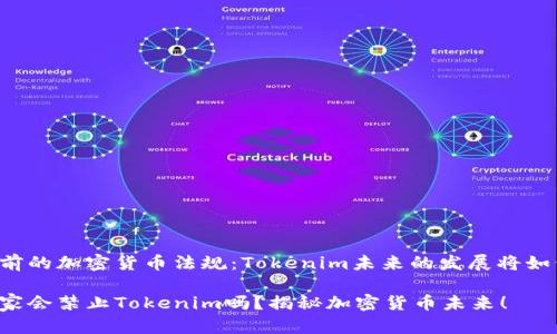 当前的加密货币法规：Tokenim未来的发展将如何？

国家会禁止Tokenim吗？揭秘加密货币未来！