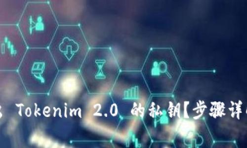 如何轻松导出 Tokenim 2.0 的私钥？步骤详解与注意事项
