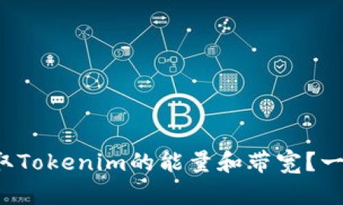 如何获取Tokenim的能量和带宽？一文揭秘！