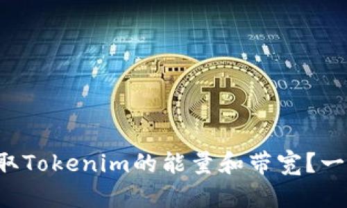如何获取Tokenim的能量和带宽？一文揭秘！