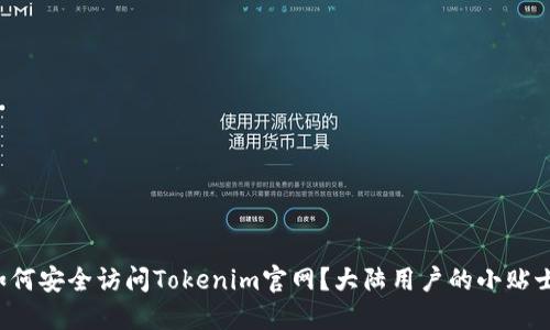 如何安全访问Tokenim官网？大陆用户的小贴士！