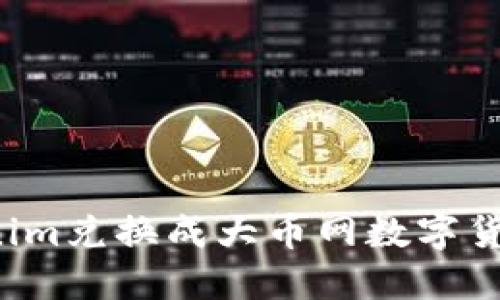 如何将Tokenim兑换成大币网数字货币？新手指南
