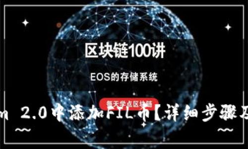 如何在Tokenim 2.0中添加FIL币？详细步骤及常见问题解答
