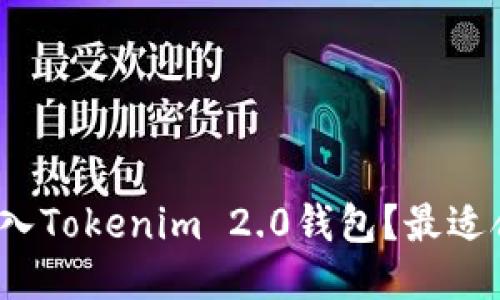 如何将文件放入Tokenim 2.0钱包？最适合的链是什么？