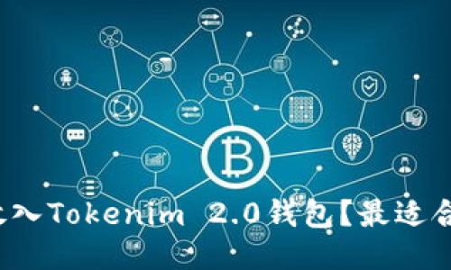 如何将文件放入Tokenim 2.0钱包？最适合的链是什么？