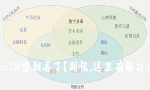 TokenIM密钥丢了？别慌，这里有解决方案！