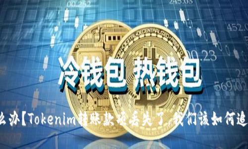 怎么办？Tokenim转账款项丢失了，我们该如何追踪？