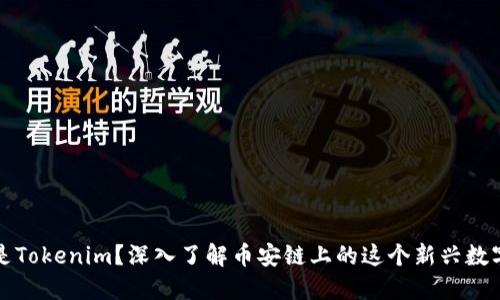 什么是Tokenim？深入了解币安链上的这个新兴数字资产