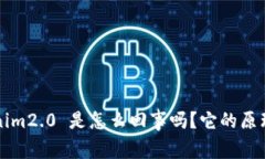 你知道 tokenim2.0 是怎么回事吗？它的原理到底有