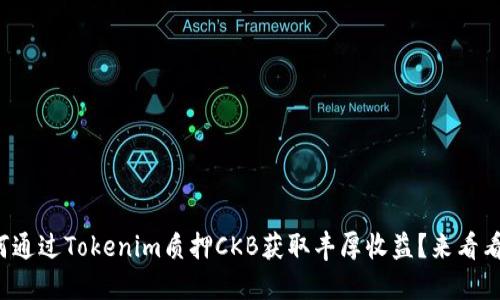 如何通过Tokenim质押CKB获取丰厚收益？来看看吧！