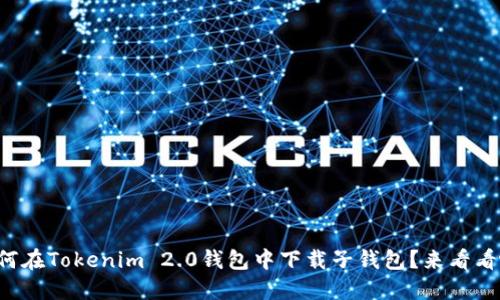 如何在Tokenim 2.0钱包中下载子钱包？来看看吧！