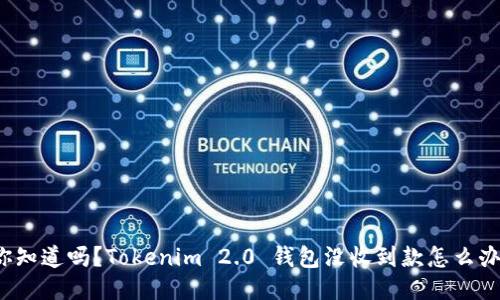“你知道吗？Tokenim 2.0 钱包没收到款怎么办？”