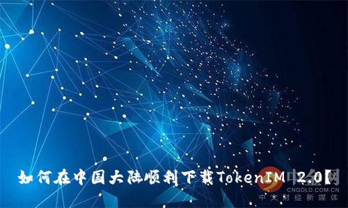 如何在中国大陆顺利下载TokenIM 2.0？