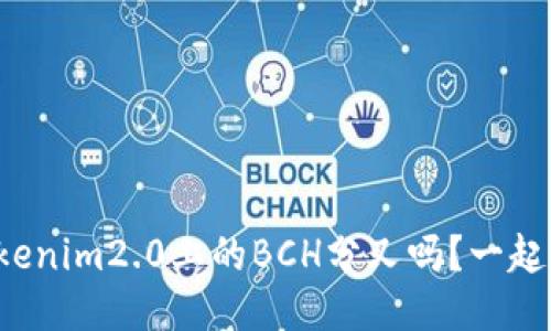 你知道tokenim2.0上的BCH分叉吗？一起来看看吧！