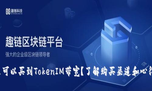 在哪里可以买到TokenIM带宽？了解购买渠道和心得分享！
