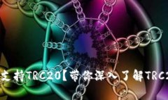 为什么Tokenim不支持TRC20？带你深入了解TRC20代币的